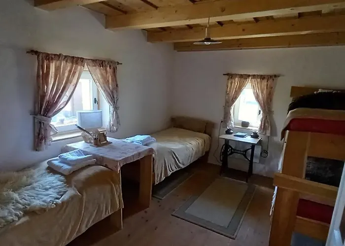 Tanya 360° Лайошмиже